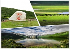 廣州到阿壩物流專線，專業(yè)運(yùn)輸廣州至阿壩貨運(yùn)公司